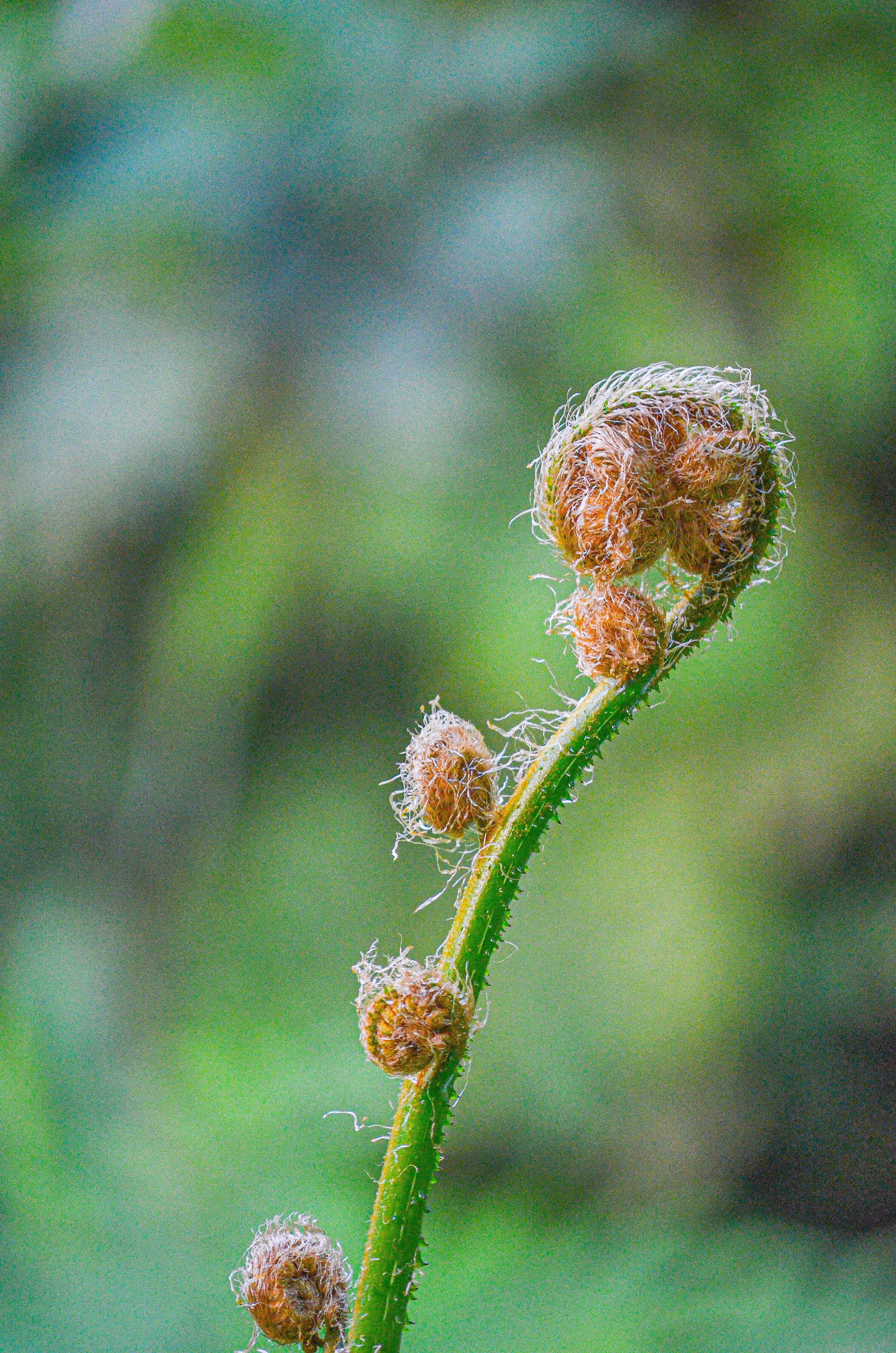 Sustainable Practices